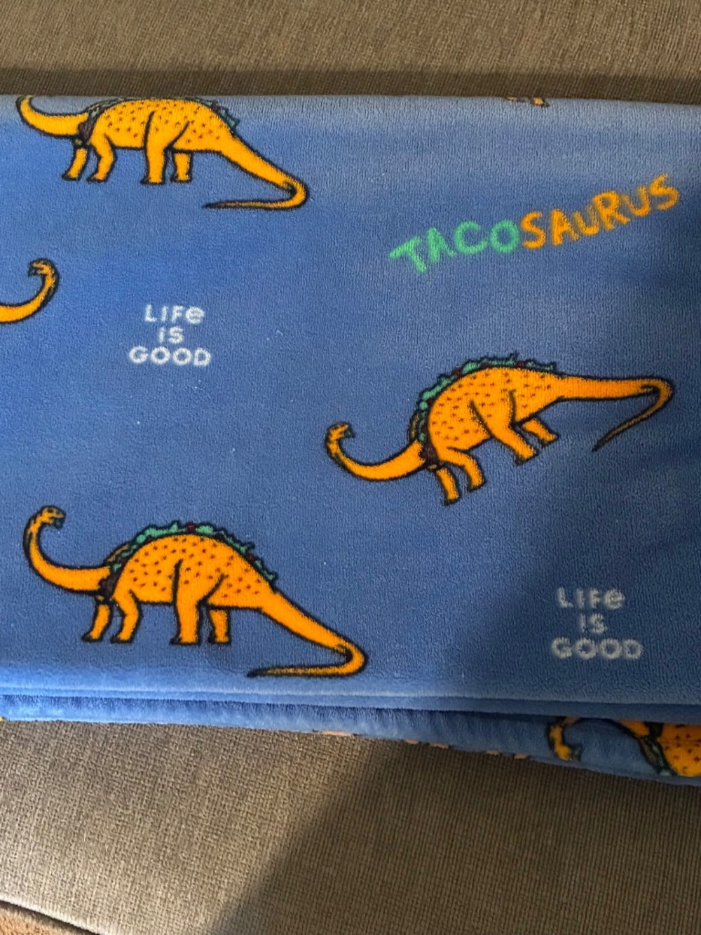 Life is Good Fleece Blanket